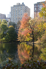 Image showing central park new york city