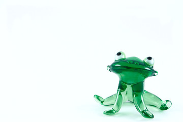 Image showing Green glass frog