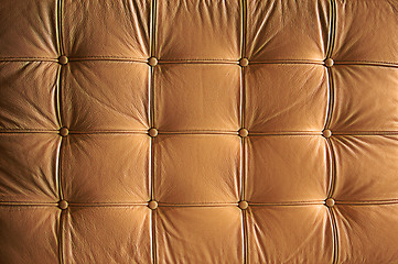 Image showing Comfortable Buttoned Leather Pattern