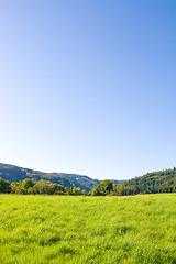 Image showing Idyllic meadow with tree