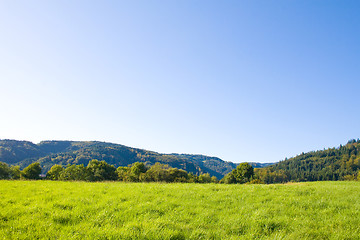 Image showing Idyllic meadow with tree