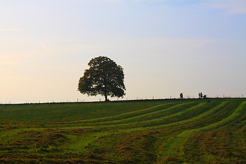 Image showing Idyllic meadow with tree