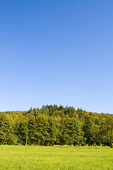 Image showing Idyllic meadow with tree