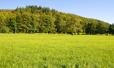 Image showing Idyllic meadow with tree