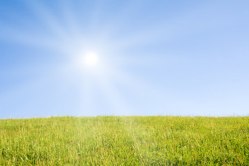 Image showing Idyllic lawn with sunlight