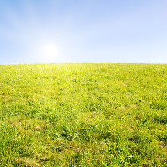 Image showing Idyllic lawn with sunlight