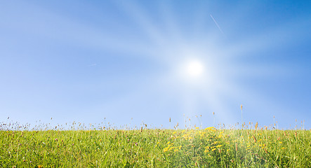 Image showing Idyllic lawn with sunlight