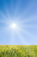 Image showing Idyllic lawn with sunlight