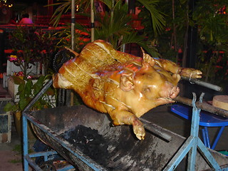 Image showing Roasting Pig in Pattaya, Thailand