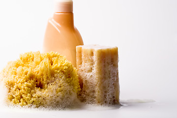 Image showing soap, natural sponge and shower gel