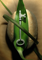 Image showing Eco Key