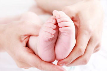 Image showing Newborn