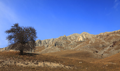 Image showing Trascau Mountains,Romania