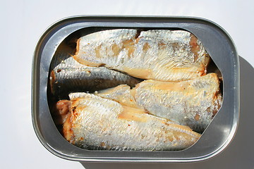 Image showing Sardines in a Can