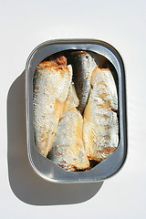 Image showing Sardines in a Can