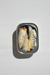 Image showing Sardines in a Can