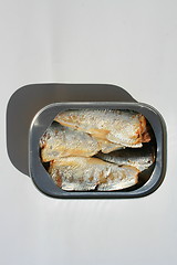 Image showing Sardines in a Can