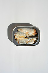 Image showing Sardines in a Can