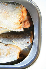 Image showing Sardines in a Can