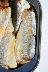 Image showing Sardines in a Can