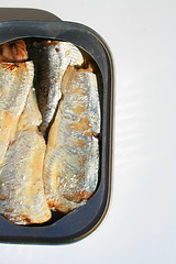 Image showing Sardines in a Can