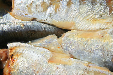 Image showing Sardines in a Can