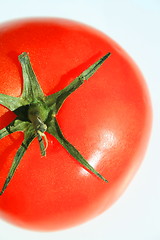 Image showing Red Tomato