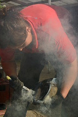 Image showing Farrier