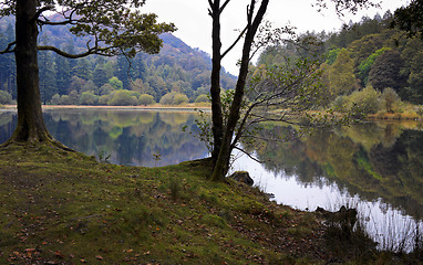 Image showing Yew Tree Tarn