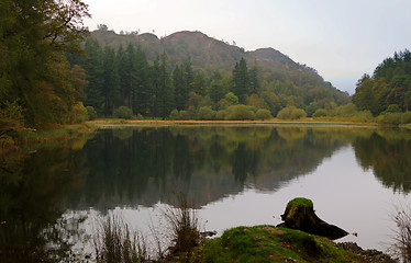 Image showing Yew Tree Tarn