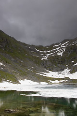 Image showing Summer Ice