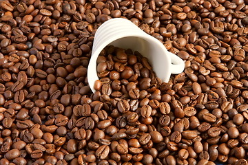 Image showing  a cup filled with coffee beans