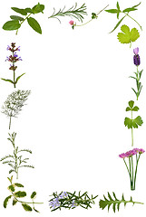 Image showing Herb Flower and Leaf Border