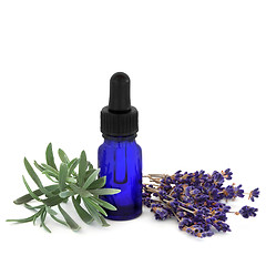 Image showing Lavender Herb Essence