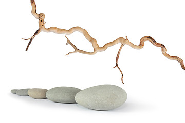 Image showing Zen Simplicity