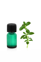 Image showing Peppermint Leaf and Essence 