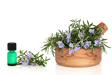 Image showing Rosemary Herb and Essence