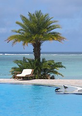 Image showing By the pool with sea in the background