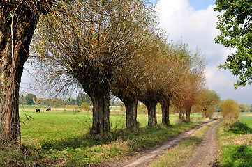 Image showing Polish Landscape