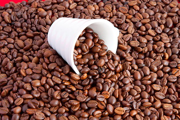 Image showing  a cup filled with coffee beans