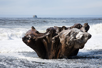 Image showing La Push Beach, Washington