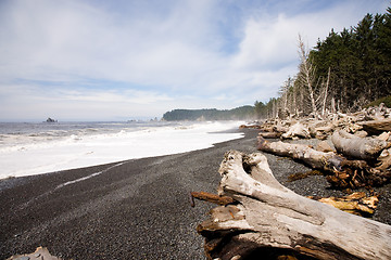 Image showing La Push Beach