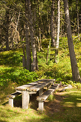 Image showing Picnic Table in Forks Washington