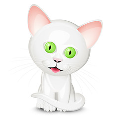 Image showing Little white cat