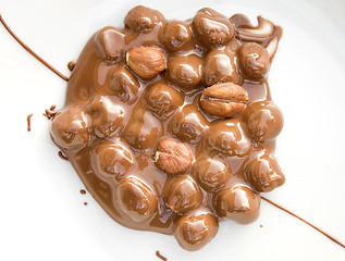 Image showing Chocolate covered hazelnuts