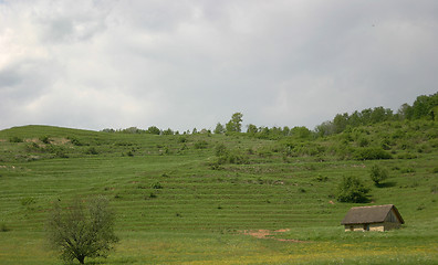 Image showing scenery with shed