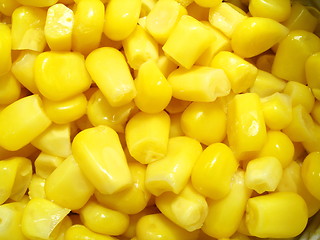 Image showing corn