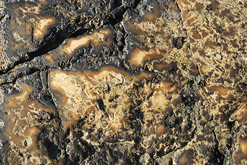 Image showing Grunge Stone Texture