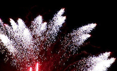 Image showing Fireworks 