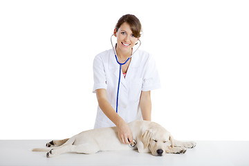 Image showing Veterinay taking care of a dog